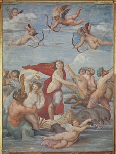 Galatea diadala, 1512-14